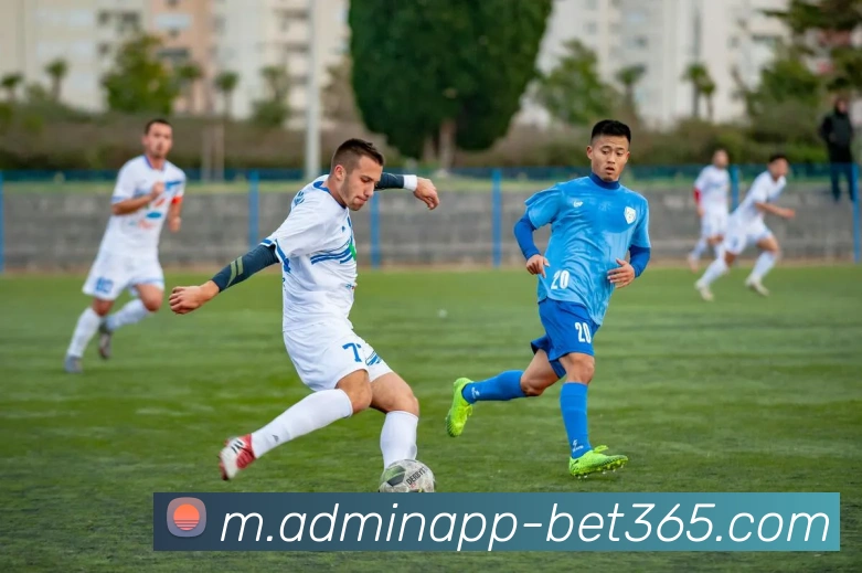 bet365平台生态图